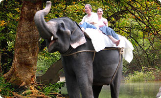 Konni Eco Tourism - Elephant camp